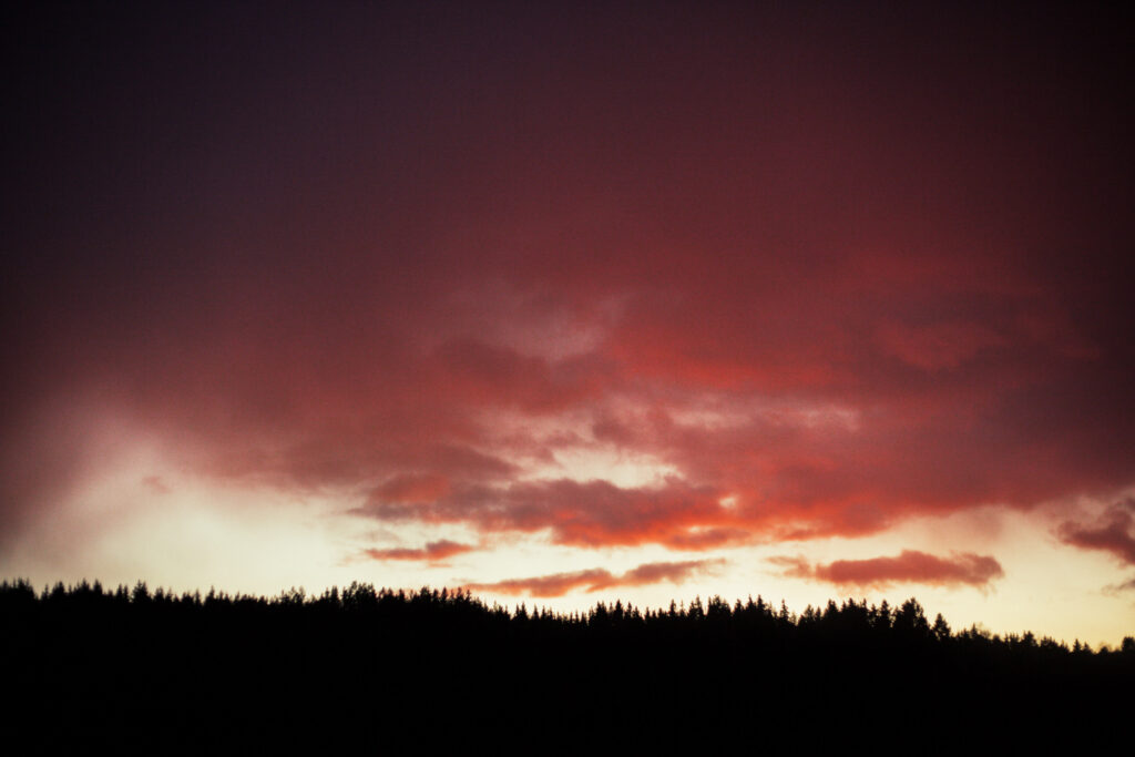 Spectacular sunset with a pink sky above the forest in Bogesund Nature Reserve.