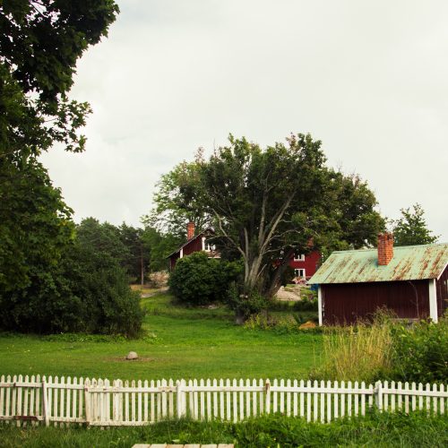 Typical red Swedish cottages on an island.