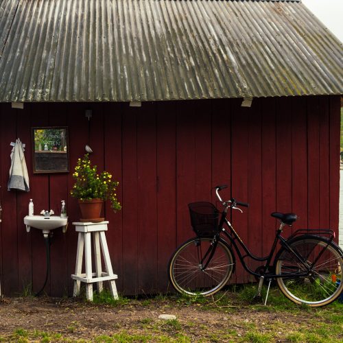 Typical red Swedish cottages on an island.