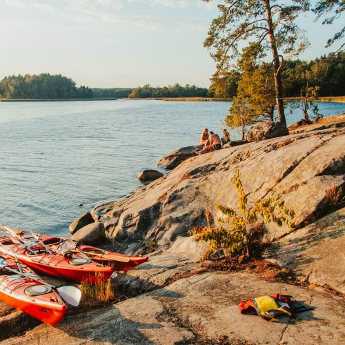 Discover Bogesund Nature Reserve