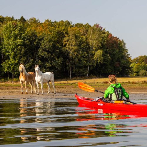 skargardens-kanotcenter-kayak-tours-vaxholm (10)