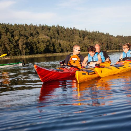 Master kayaking techniques with expert guides who ensure a fun and safe experience for the whole family. Our kayaks are suitable for all ages and skill levels, and we can also provide canoes and SUP boards upon request.