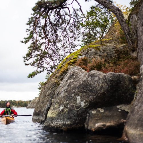 Kayak tour around Traskö-Storö