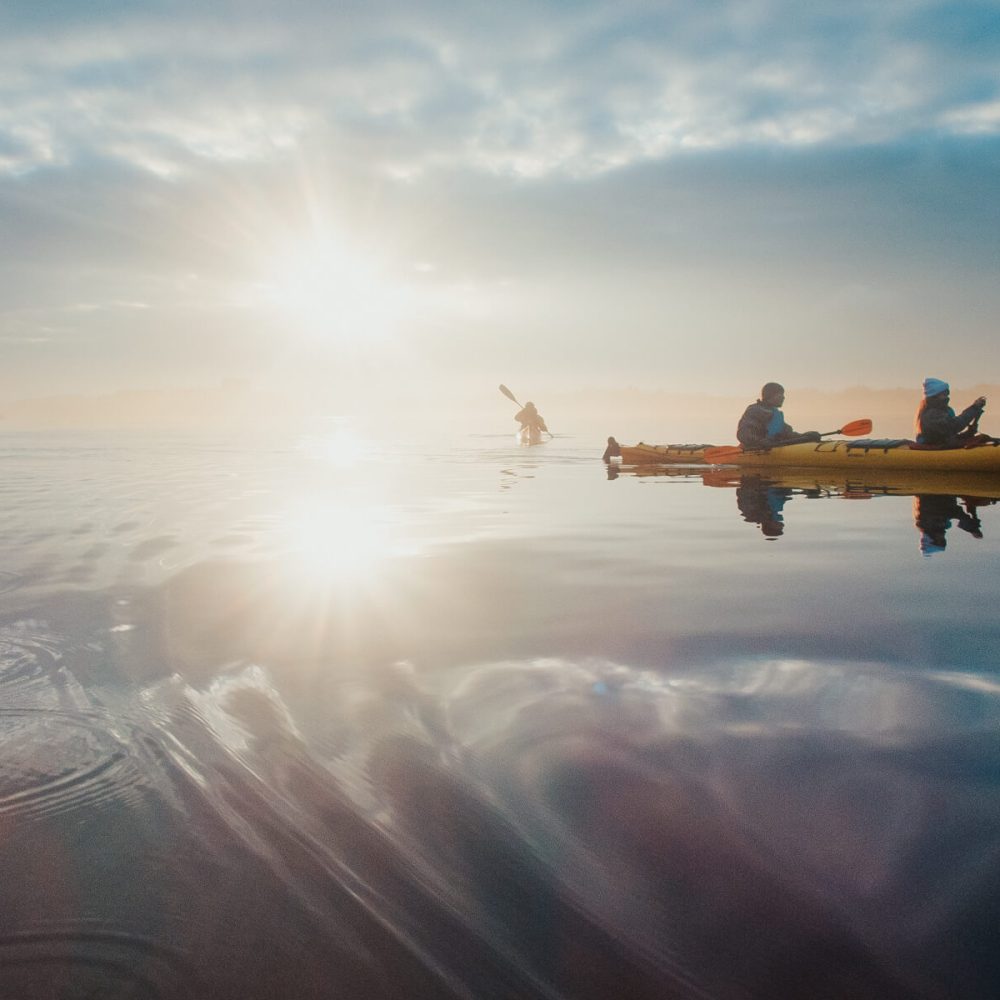 Explore the serene beauty of the Stockholm Archipelago from a kayak