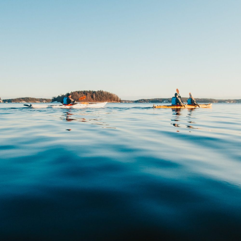 Kayak d'hiver Archipel de Stockholm